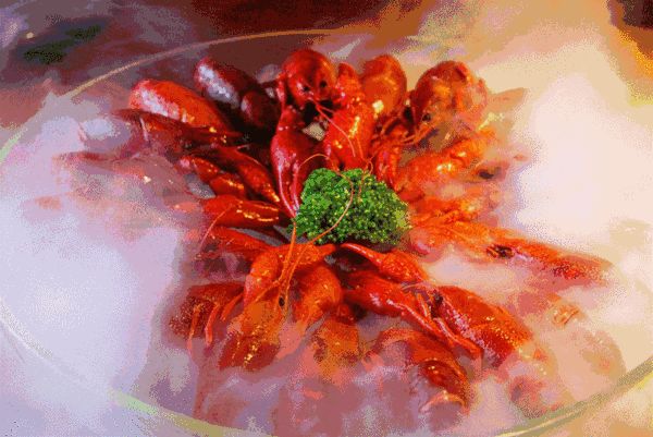 小龙虾价格飞涨，吃货哭着也要吃！(图12)