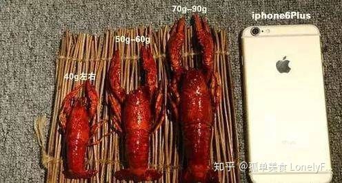 小龙虾价格飞涨，吃货哭着也要吃！(图17)
