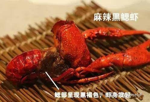 小龙虾价格飞涨，吃货哭着也要吃！(图21)