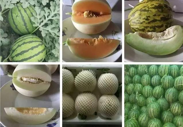 鄂前旗便民信息(图14)