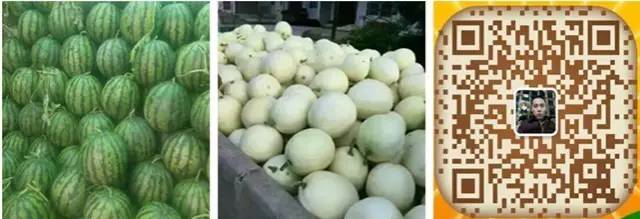 鄂前旗便民信息(图15)