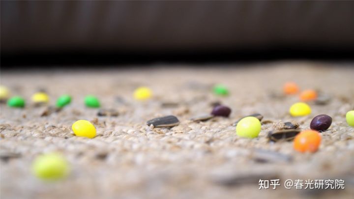 什么是三合一全屋吸尘—洗地一体机？莱克天狼星S680对比评测(图19)