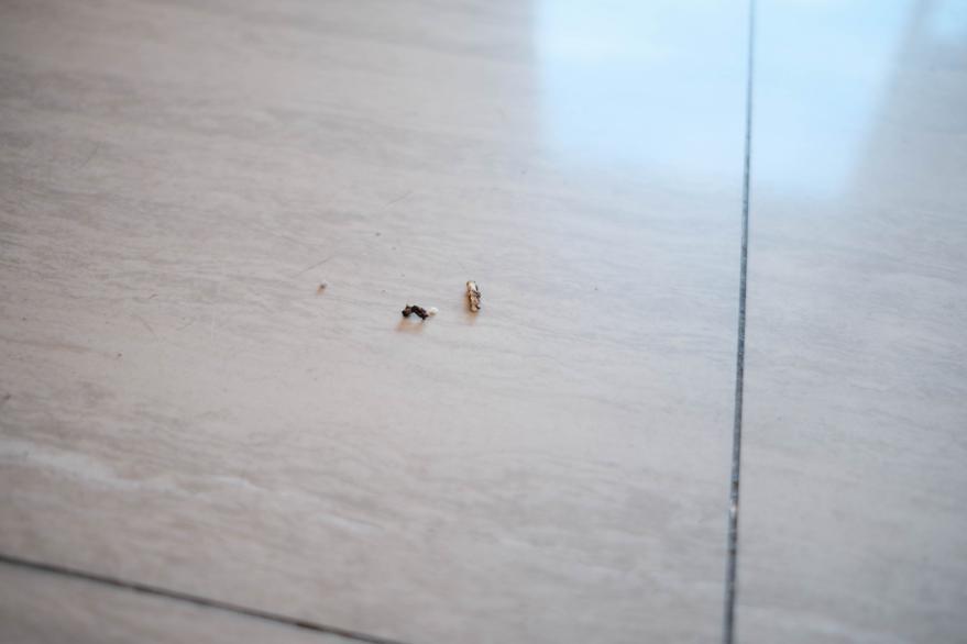 时下最火的吸、拖、洗三合一清洁神器，终于不再是智商税！(图15)