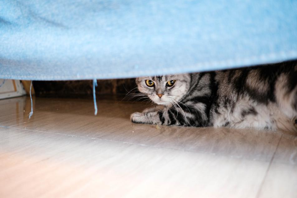 时下最火的吸、拖、洗三合一清洁神器，终于不再是智商税！(图16)