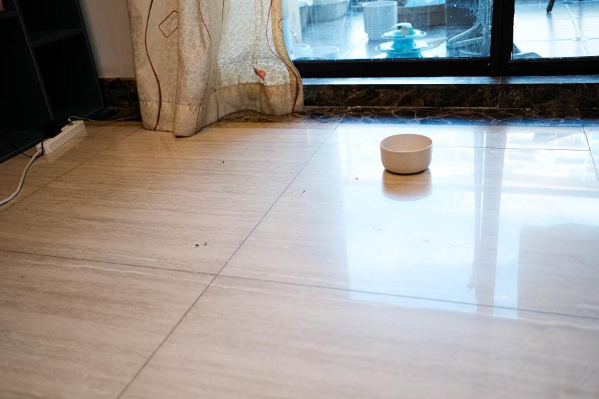 时下最火的吸、拖、洗三合一清洁神器,终于不再是智商税!(图14) 时下最火的吸、拖、洗三合一清洁神器,终于不再是智商税!(图14)