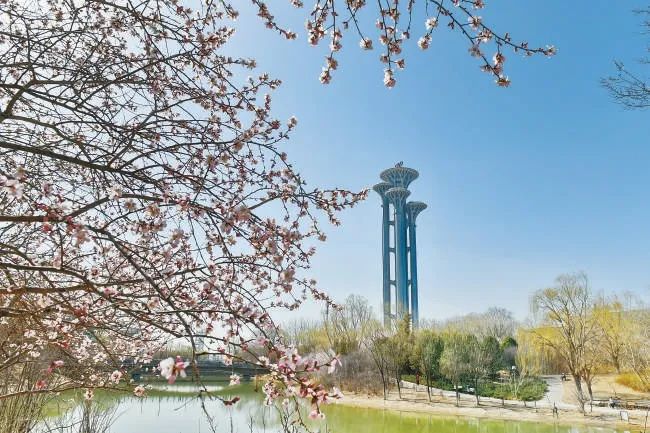 首都五年新变化聚焦北京市十三次党代会丨朝阳聚焦“三化”打造首都金名片(图9)