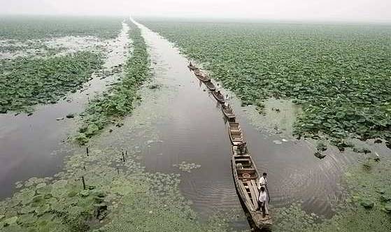 湘阴知名企业推荐(图26)