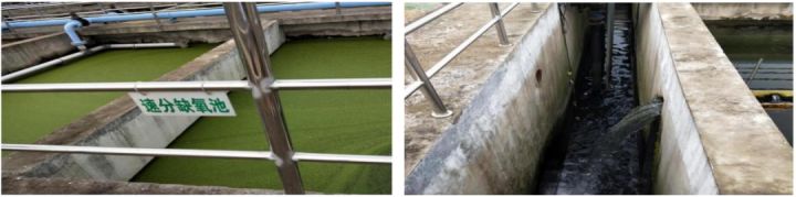 2020示范工程​​六安市科净源——4000t／d集镇污水处理工程(图6)