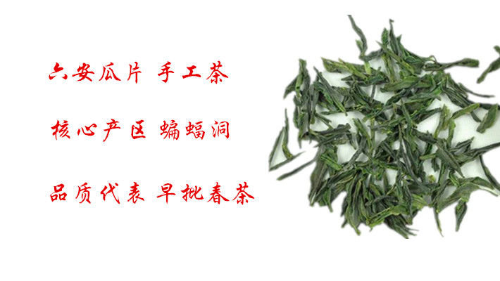 买六安瓜片新茶要注意些什么(图1)