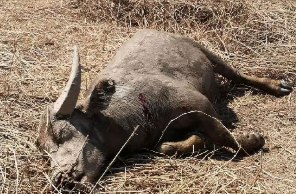 最新公告！六安这条路已禁止通行！@六安一工人被卷入洗砂机！当场身亡……(图23)