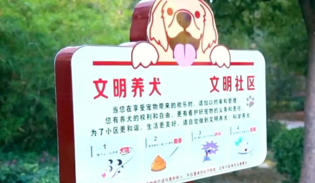 六安一地突发地震！震源深度7公里…@限期整改！涉及六安多小区(图15)