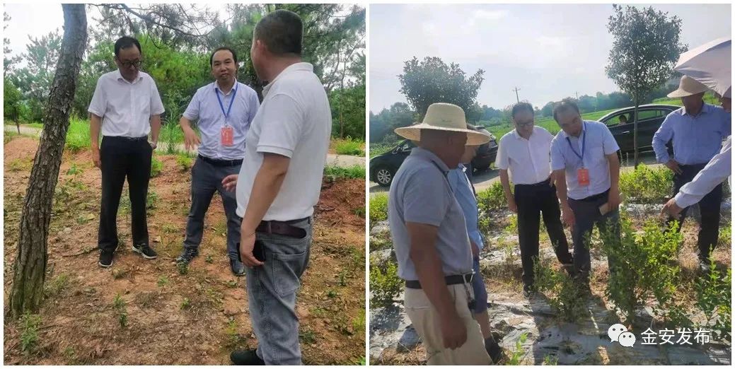 人社部项目!5天,“干货”满满收获丰!(图14) 人社部项目!5天,“干货”满满收获丰!(图14)