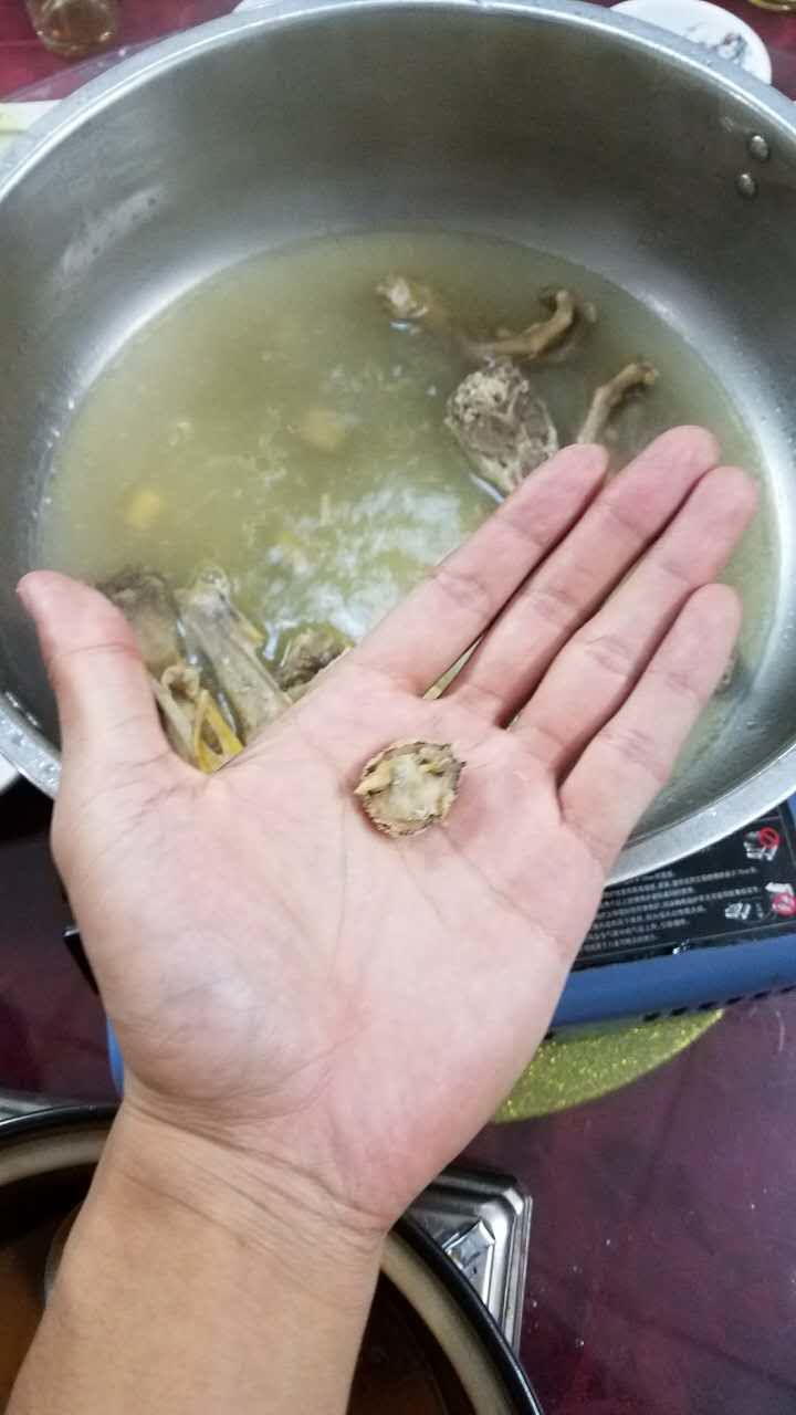 我真的在海南被坑哭了(图2)