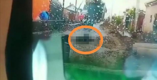 吉林男子用挖掘机挖斗将修路工地的工头拍死，连拍8下，惨不忍睹(图5)