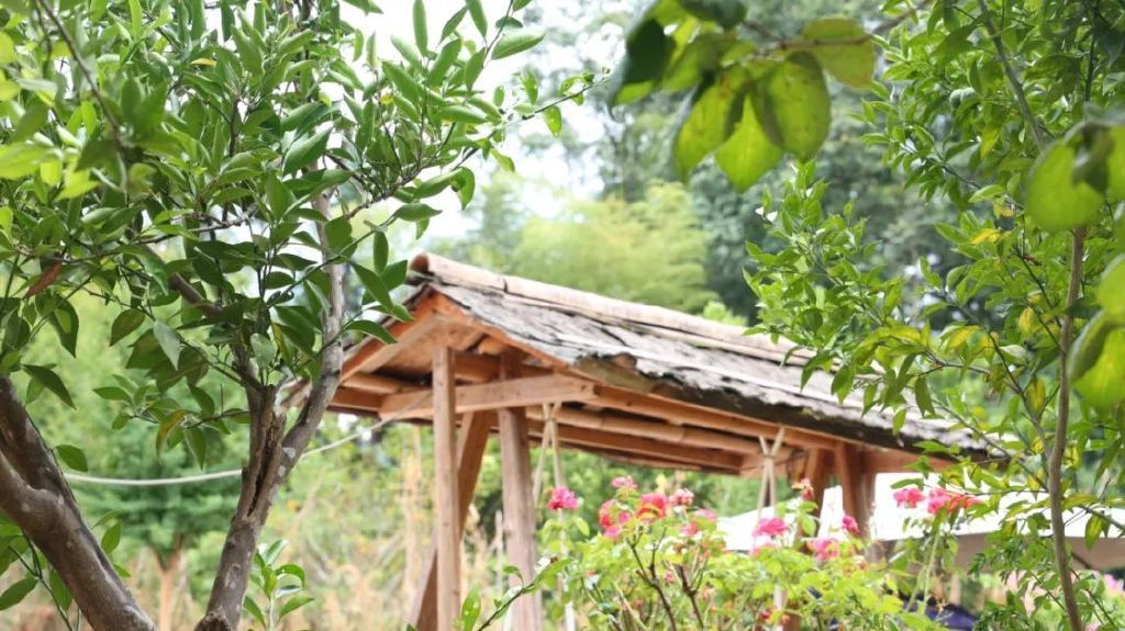 湿疹是怎样形成的？它的发病机制是怎样的？这3个常识你知道吗？(图2)