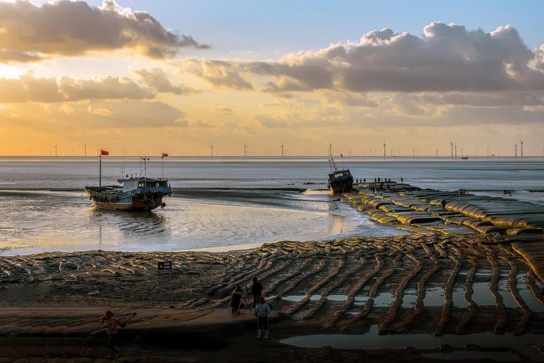 谁都不敢招惹的“砂霸”，栽了！｜今晚九点半(图4)