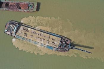 中央环保督察丨广东部分出海水道出现“黄泥带”(图2)