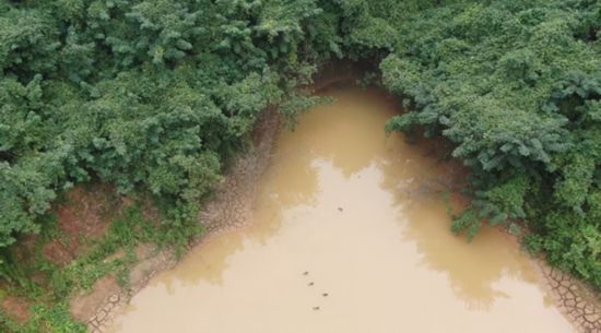 江苏镇江一非法洗砂场竟将污水抽到山顶直排入附近水塘(图4) 江苏镇江一非法洗砂场竟将污水抽到山顶直排入附近水塘(图4)