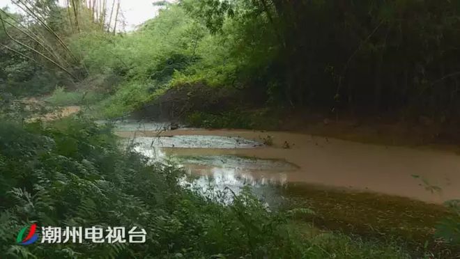 潮州铁铺溪流发黄淤泥堆积,都是洗砂场惹的祸(图6)