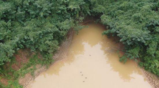 江苏镇江一非法洗砂场将污水抽到山顶直排入附近水塘(图4)