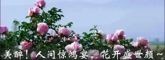 中铺镇开展砂石资源加工销售违法违规行为大检查大整治行动(图8)