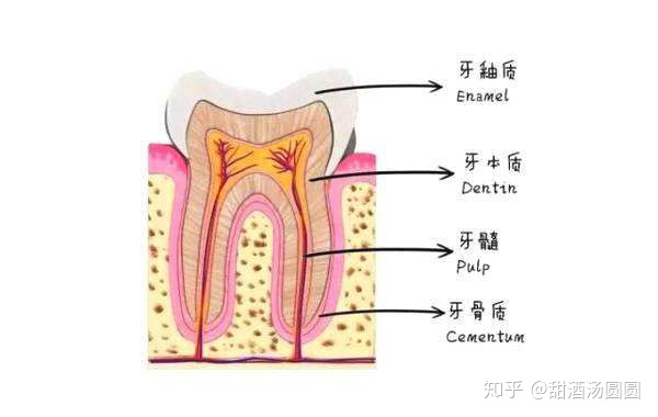 我在长沙市口腔医院补牙全过程及经验分享(图7)