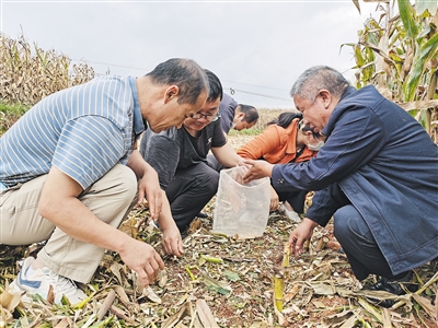 按下机械化秋收“快进键”(图4)