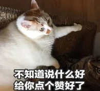 2022年家用烤箱推荐大全，附长帝、美的、格兰仕、苏泊尔、西门子、松下、博世、老板、华帝、方太、北美等各大品牌20款不同价位烤箱推荐（建议收藏）(图62)