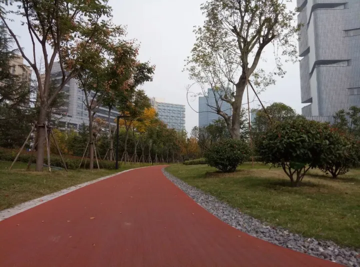 郑州最好公园！大人能跑步，小孩能玩沙，设备全进口，不收门票！(图3)