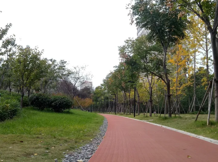 郑州最好公园！大人能跑步，小孩能玩沙，设备全进口，不收门票！(图15)