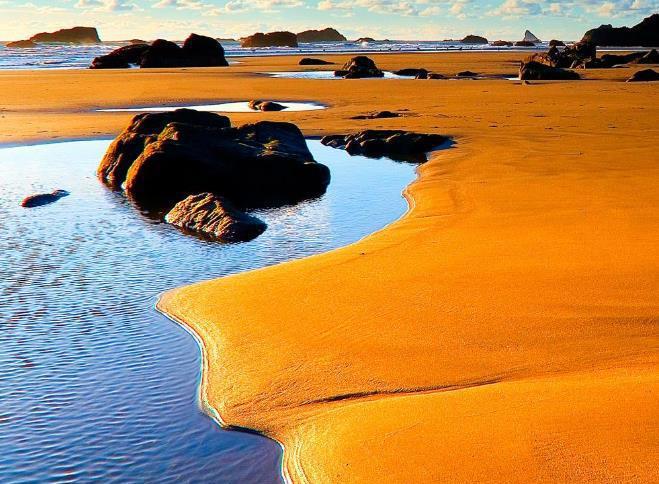 我国发明的“治沙神器”，一天可以吞噬40亩沙漠，效果事半功倍！(图1)