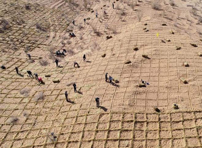 我国发明的“治沙神器”，一天可以吞噬40亩沙漠，效果事半功倍！(图5)