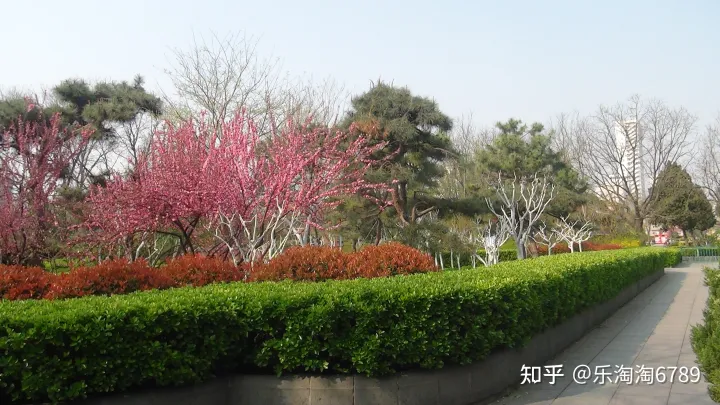 泰安：它是“皇城根里第一条街”，是泰安最繁华老街之一，如今还残存些许影子，现却几无人知！(图7)