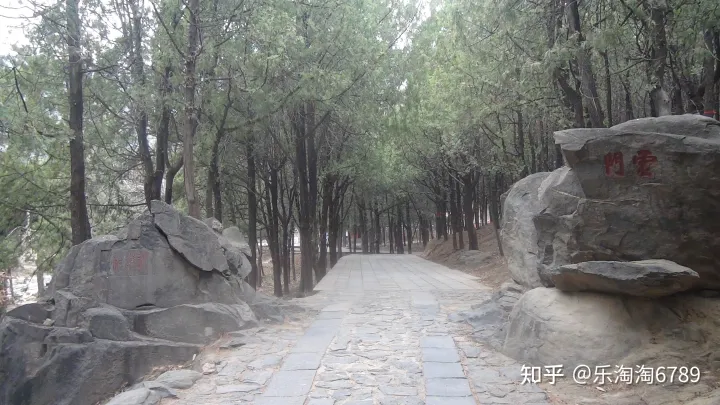 泰安一条街道，首有著名景点，尾有繁华夜市，低调却有顶尖美食，内有一建筑承载了几代人的记忆！(图9)