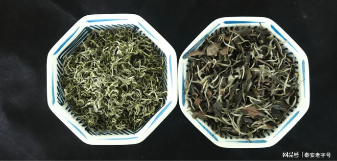 我为泰安老字号代言（六）—泰山茶溪谷•茶溪谷农业发展有限公司(图3)