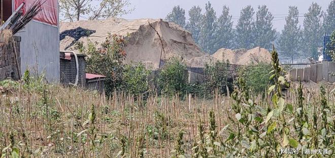 河南上蔡朱里：洗沙厂边生产边污染(图1)