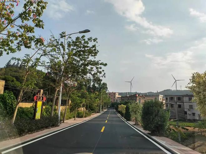 投资250多万元！惠安这个村：乡村道路“白改黑”乡村振兴“添新颜”(图1)