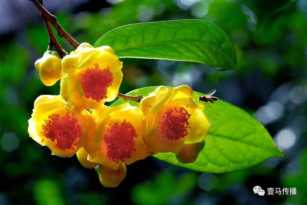 信宜这几个利民项目要来了，总投资达6.52亿！(图12)