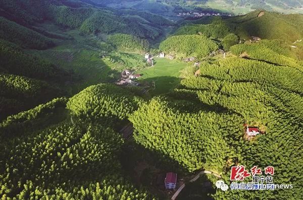 【庆祝新中国成立70周年系列报道】奋进七十载绿洲展华彩——新中国成立70年来绥宁县经济社会发展综述(图3)