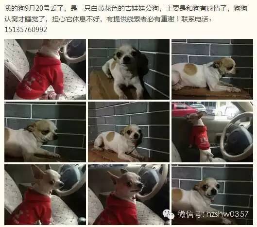 最新招聘、求职、出租、求租、出售、求购、二手、其它等信息(图3)