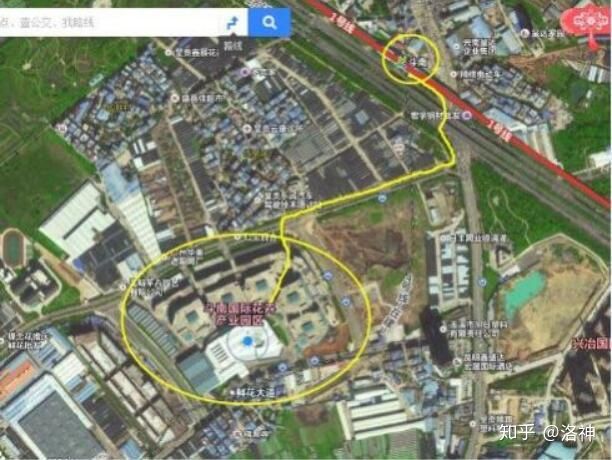 昆明斗南花市营业时间、春节营业时间、斗南花市地址、旅游攻略(图4)