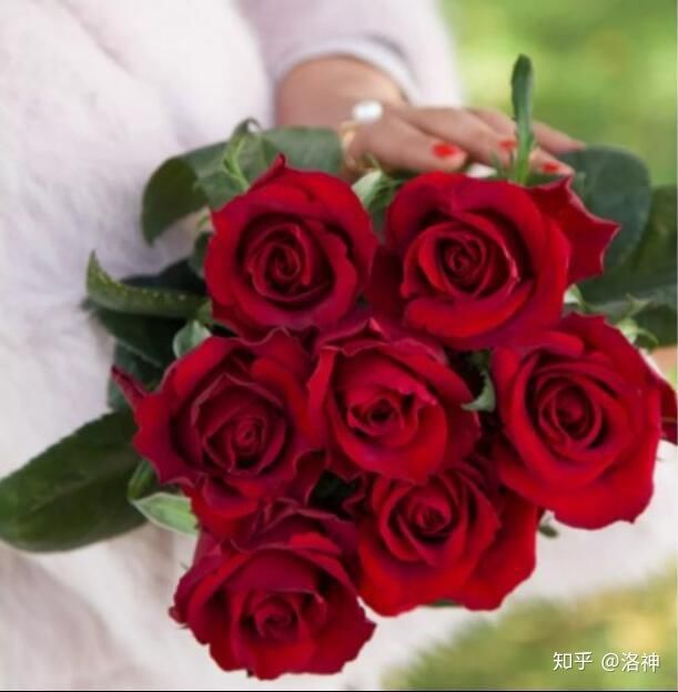 昆明斗南花市营业时间、春节营业时间、斗南花市地址、旅游攻略(图12)