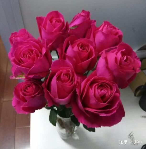 昆明斗南花市营业时间、春节营业时间、斗南花市地址、旅游攻略(图13)