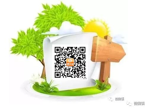 执法动态：田镇分局强制拆除一处非法碎石洗砂设备(图5)