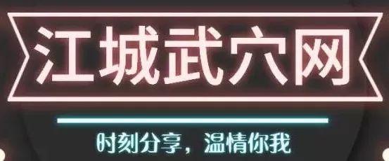 【强制拆除】武穴田镇分局强制拆除一处非法碎石洗砂设备……(图1)