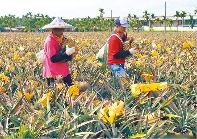 大陆暂停进口，台湾省1496厂家产品在列，经济手段或更加有效(图1)