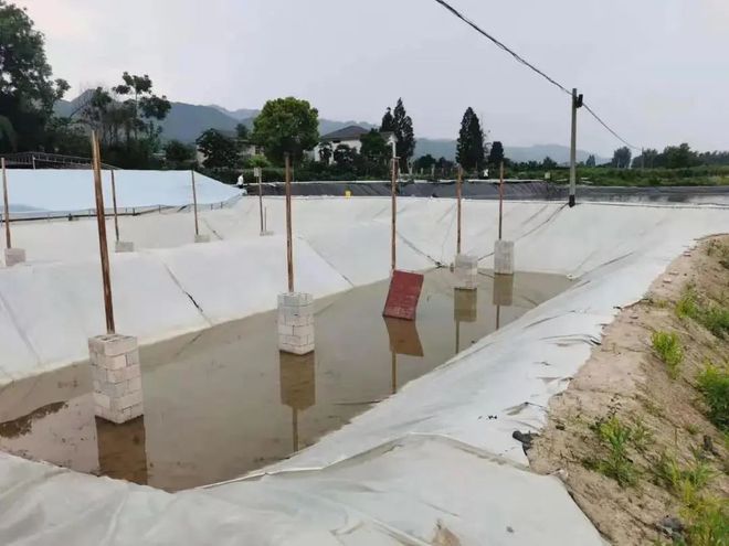 非法占用农用地56亩搞水产养殖，被刑事拘留！(图1)