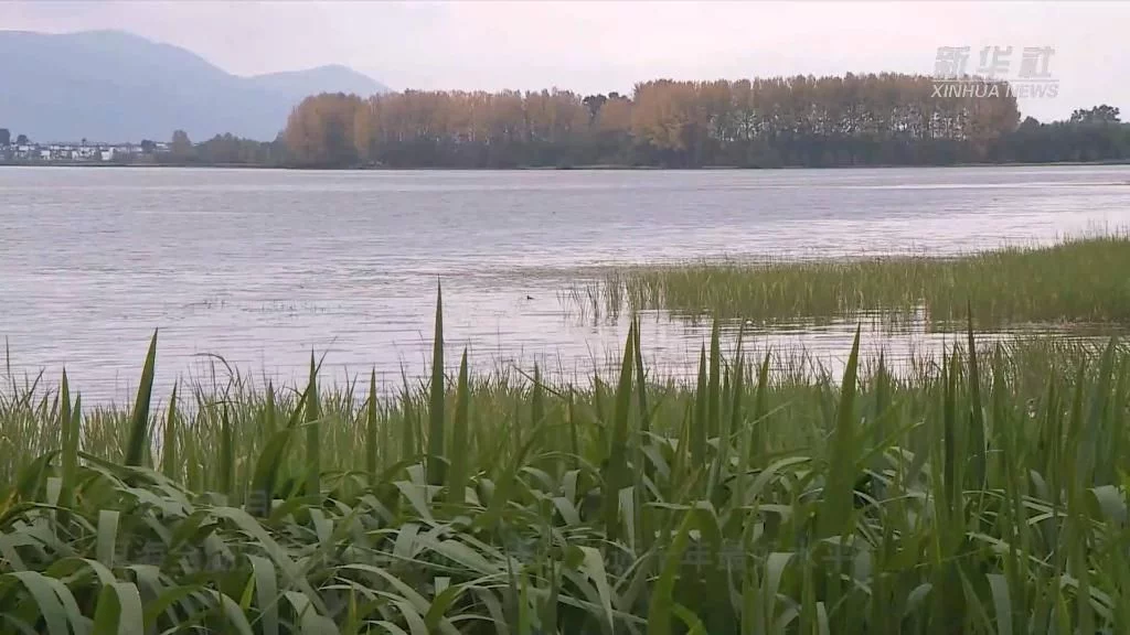 喜迎二十大｜洱海之治(图5)